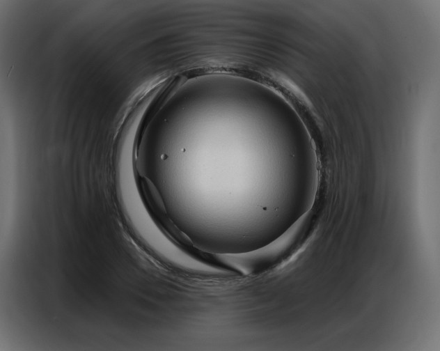 X0000086900930200704161312