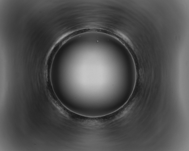 X0000086900931200704161312