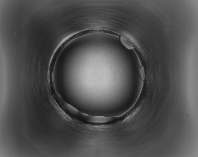 X0000086900932200704161312