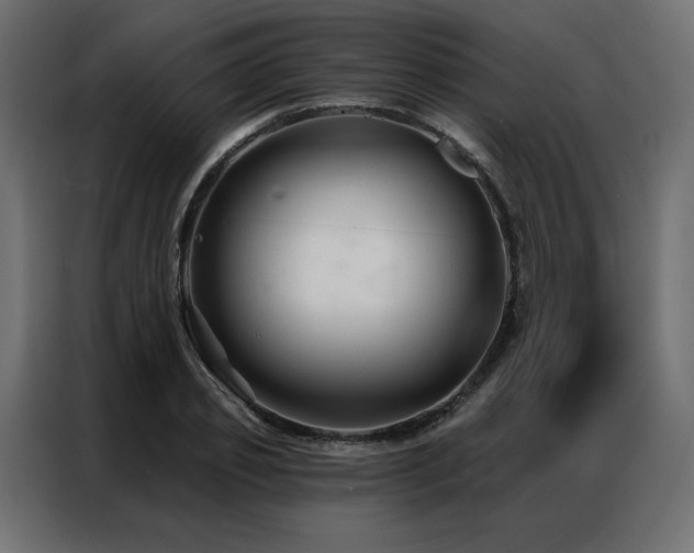 X0000086900933200704161312