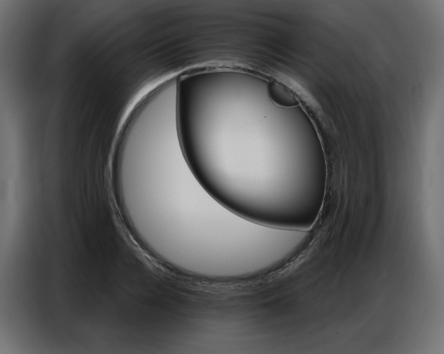 X0000086900936200704161312