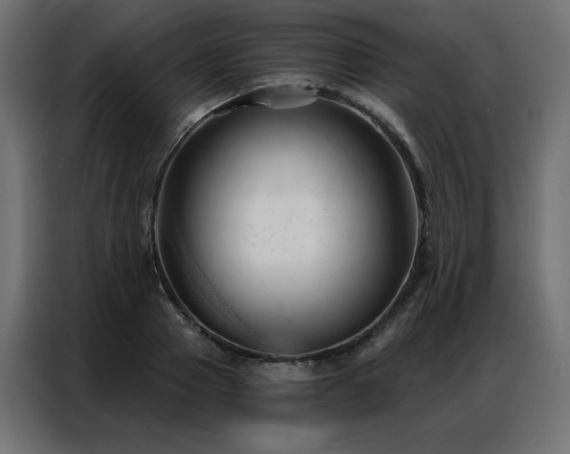 X0000086900937200704161312