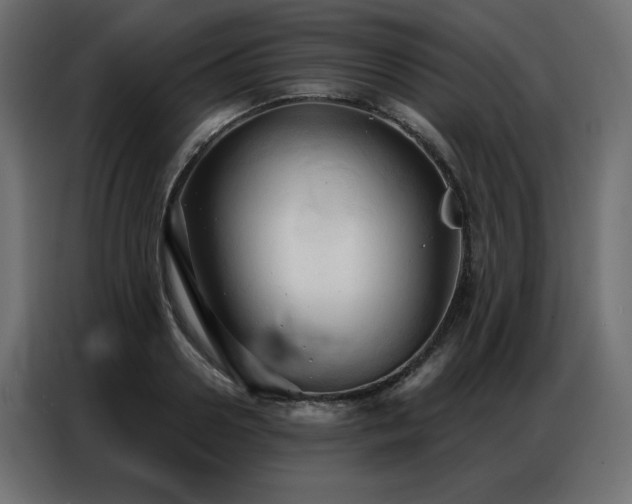 X0000086900938200704161312