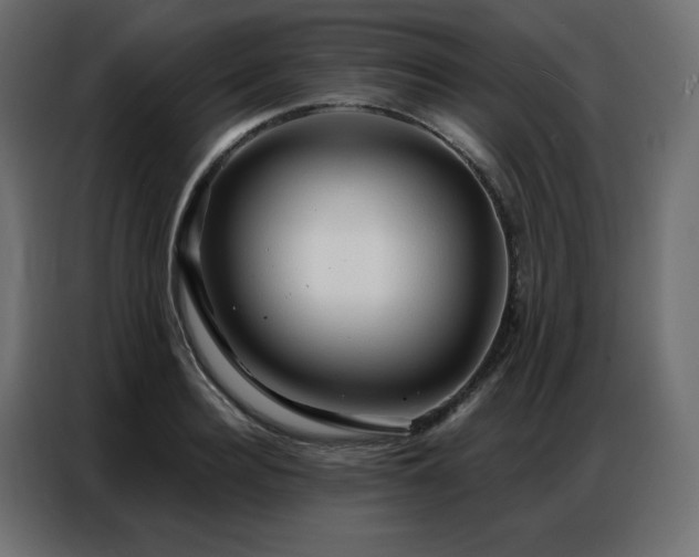X0000086900940200704161312