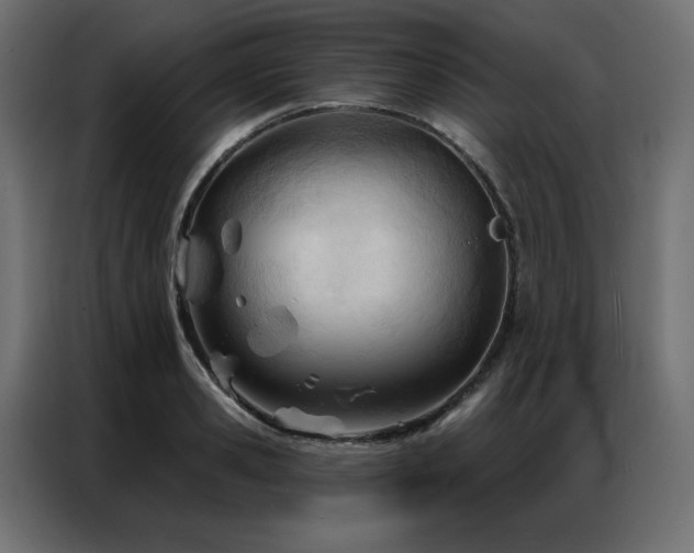 X0000086900941200704161312