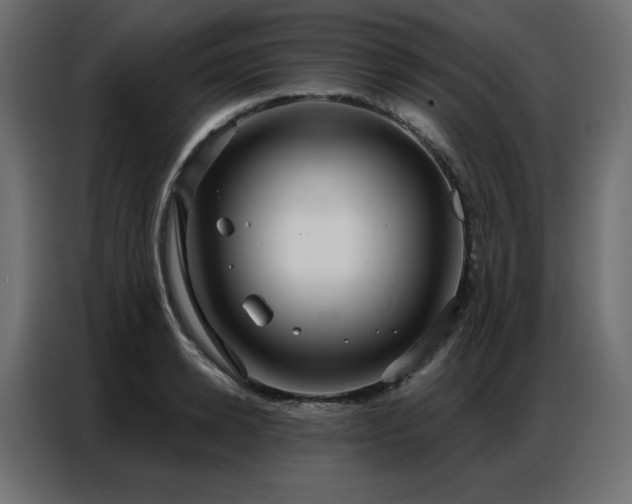 X0000086900942200704161312
