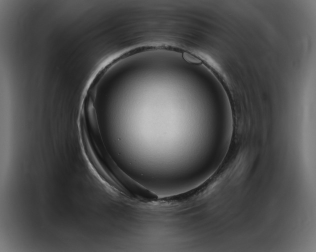 X0000086900943200704161312