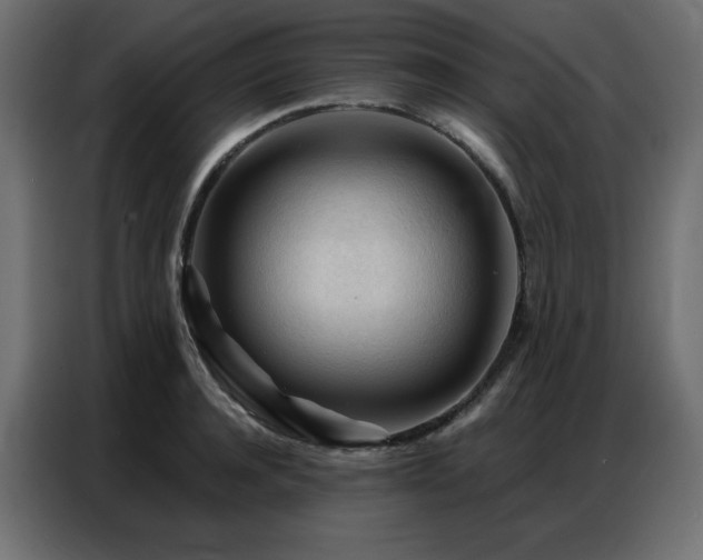 X0000086900944200704161312