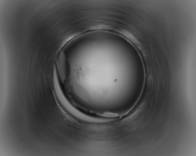 X0000086900945200704161312