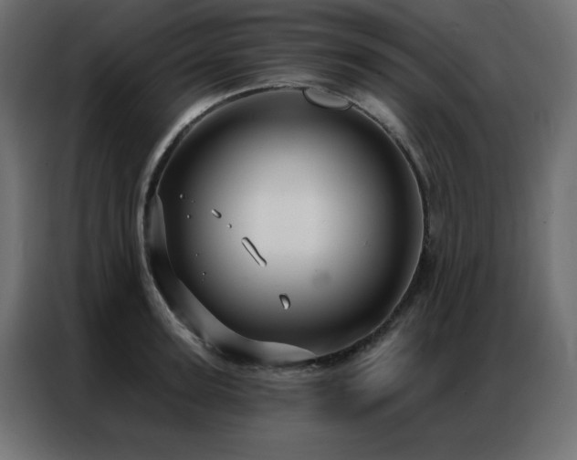 X0000086900947200704161312