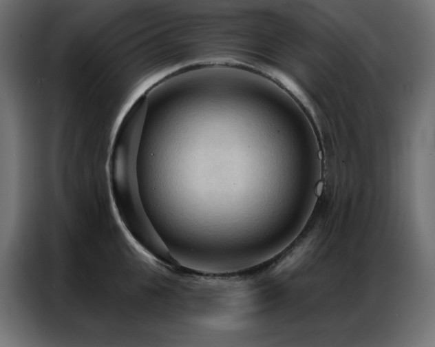 X0000086900951200704161312