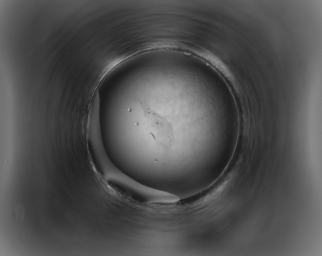 X0000086900953200704161312