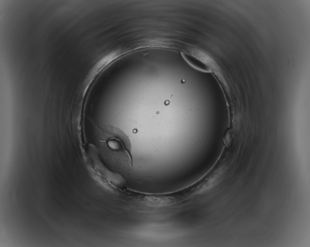X0000086900954200704161312