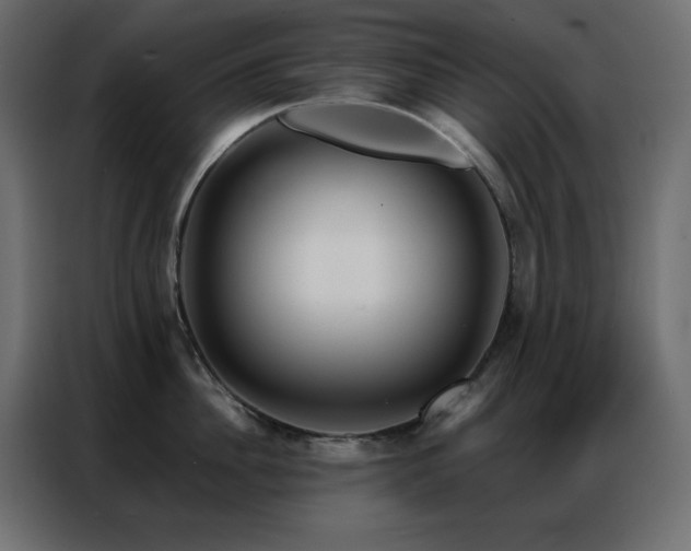 X0000086900956200704161312