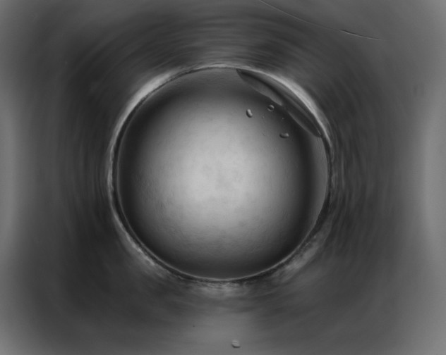 X0000086900957200704161312
