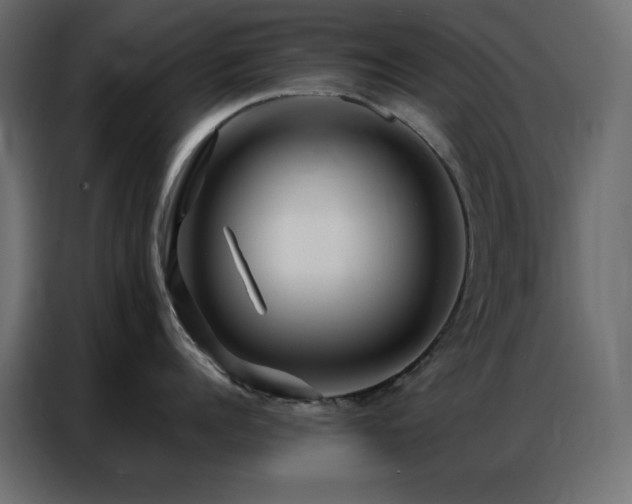 X0000086900960200704161312