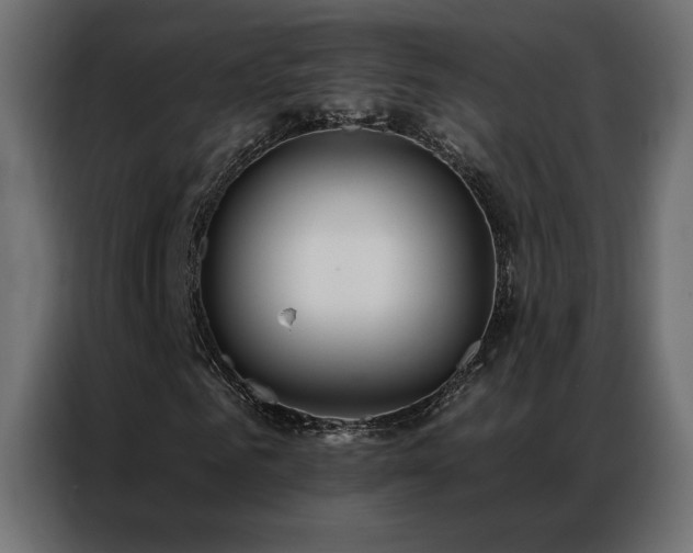 X0000086900961200704161312