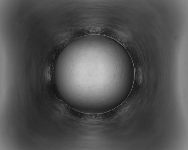 X0000086900962200704161312