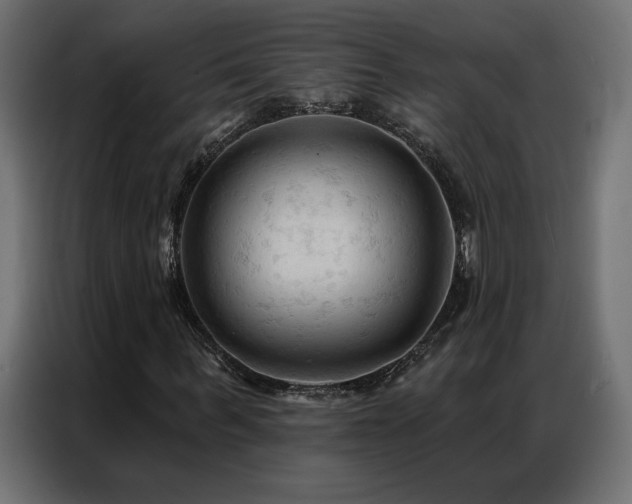 X0000086900963200704161311