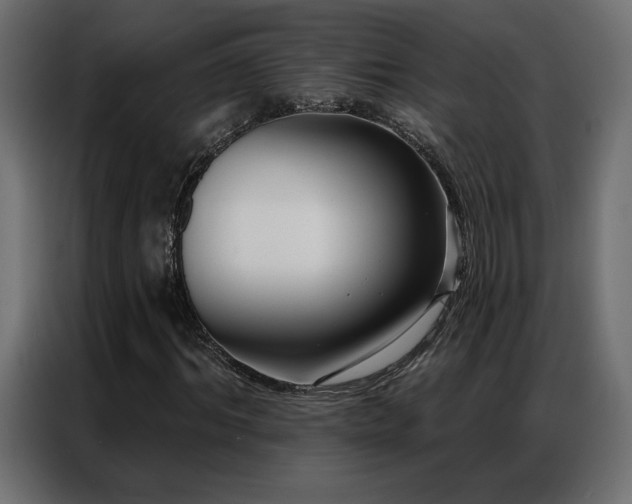 X0000086900964200704161311