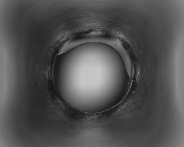 X0000086900965200704161311