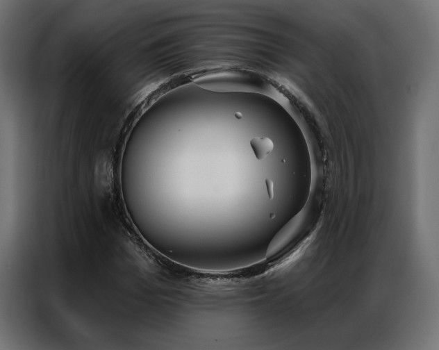 X0000086900969200704161311