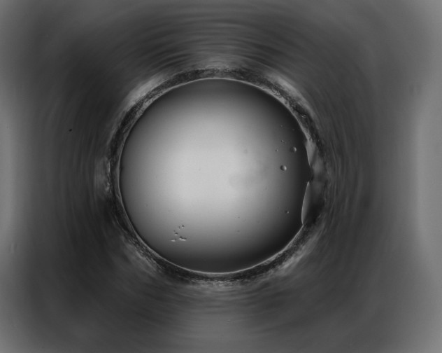 X0000086900970200704161311