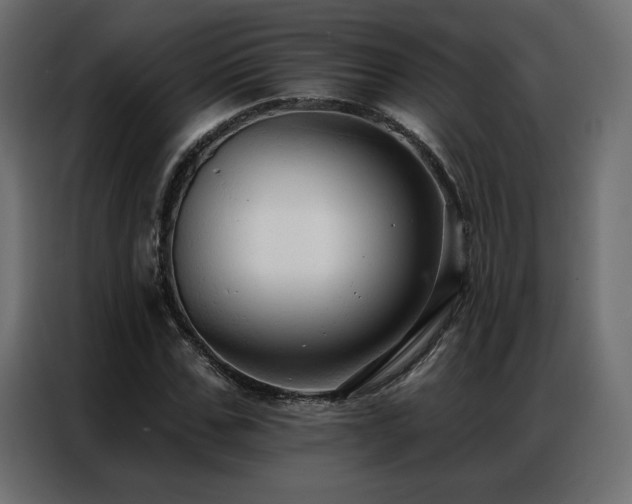 X0000086900971200704161311