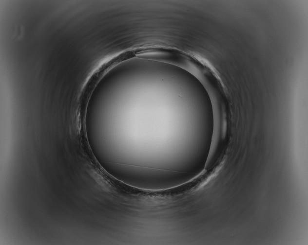 X0000086900973200704161311