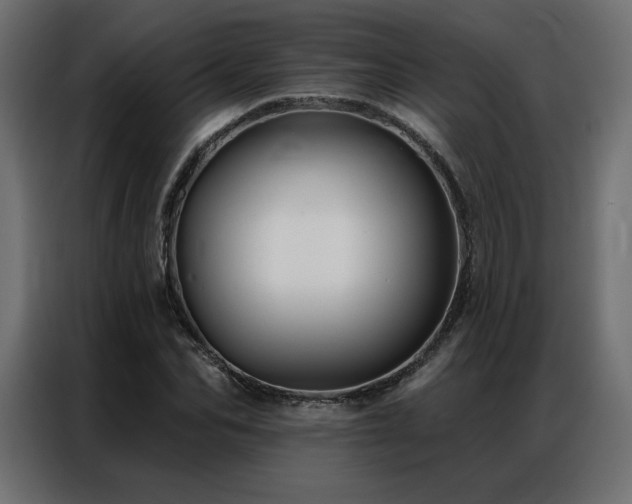 X0000086900974200704161311