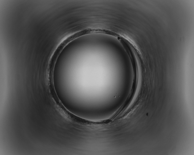 X0000086900976200704161311