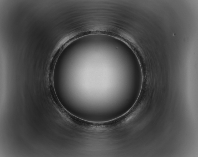 X0000086900978200704161311