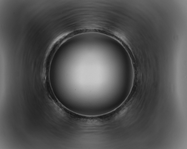 X0000086900979200704161311