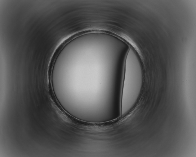X0000086900980200704161311