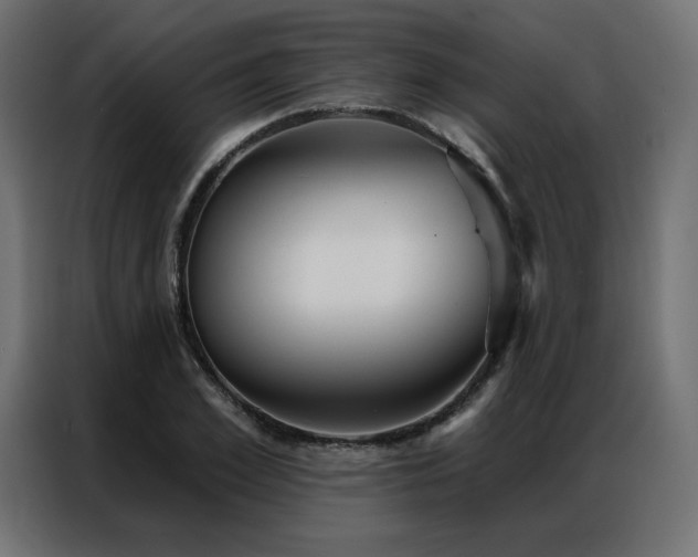 X0000086900981200704161311