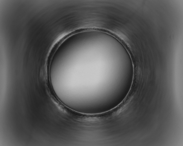 X0000086900982200704161311