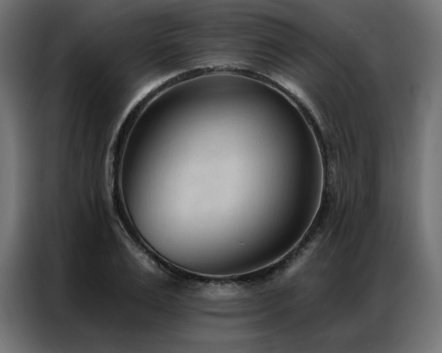 X0000086900983200704161311