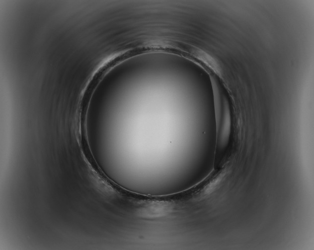 X0000086900984200704161311