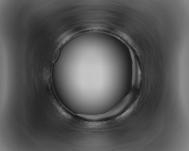 X0000086900985200704161311