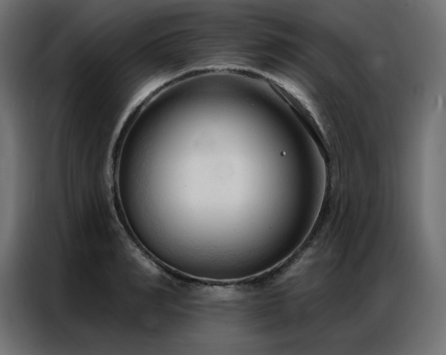 X0000086900990200704161311