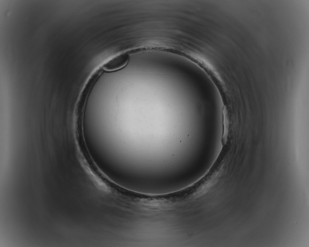 X0000086900991200704161311