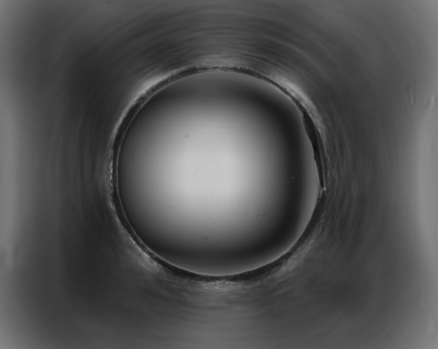 X0000086900992200704161311