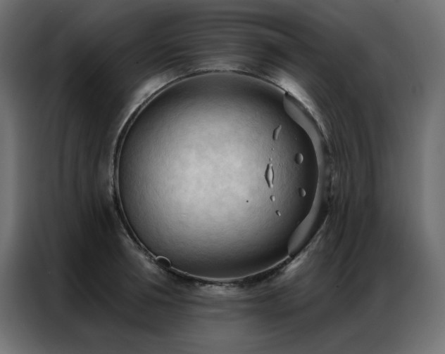 X0000086900994200704161311