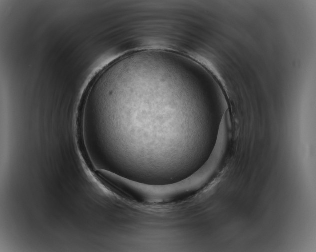 X0000086900995200704161311