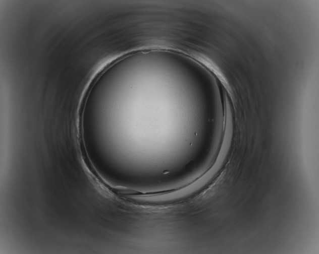X0000086900996200704161311