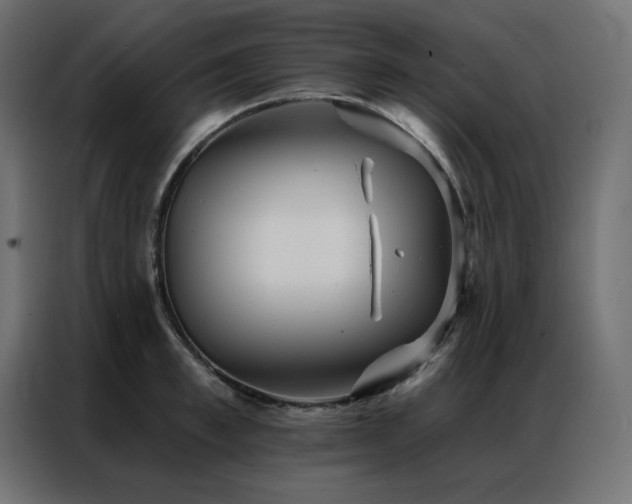 X0000086900997200704161311