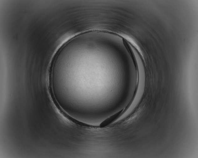 X0000086900999200704161311