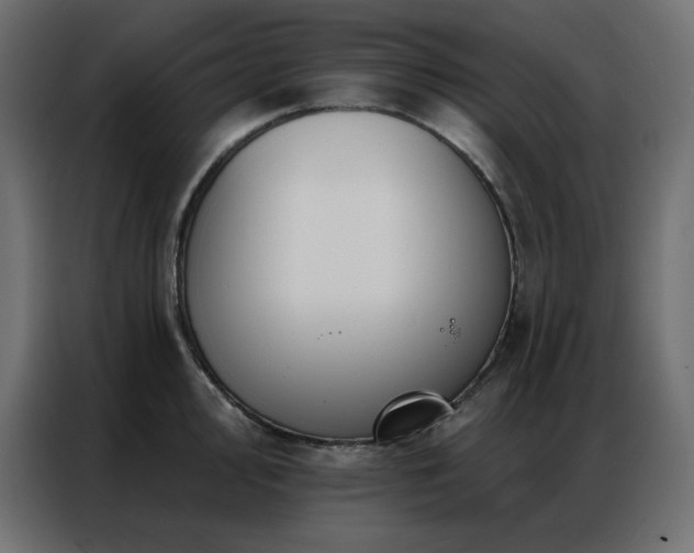 X0000086901000200704161311