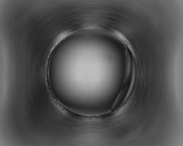 X0000086901002200704161311