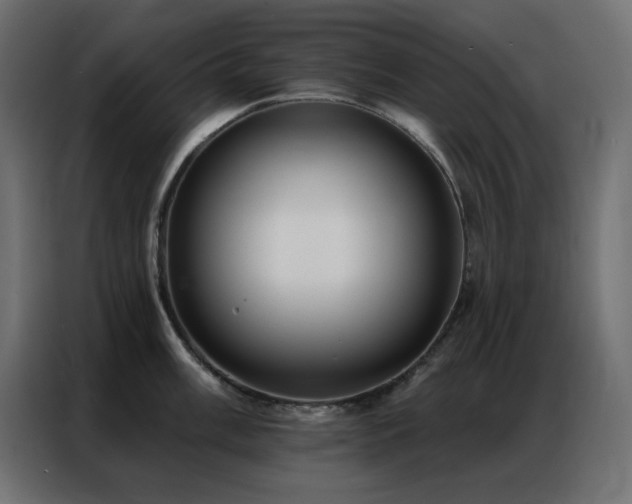 X0000086901003200704161311